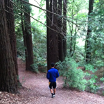 person in forest person in forest