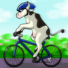cow on bike cow on bike